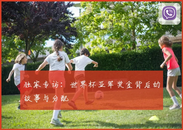 独家专访：世界杯亚军奖金背后的故事与分配