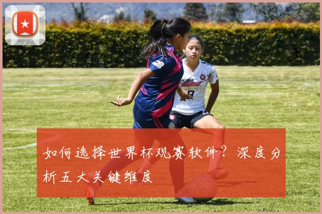 如何选择世界杯观赛软件?深度分析五大关键维度