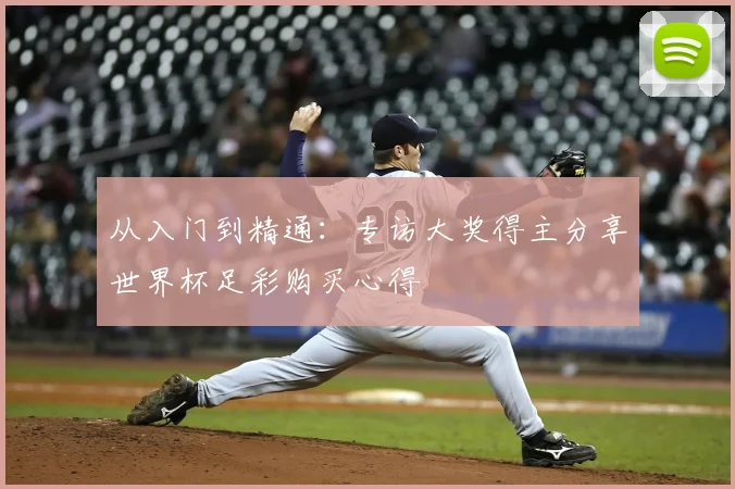 从入门到精通：专访大奖得主分享世界杯足彩购买心得