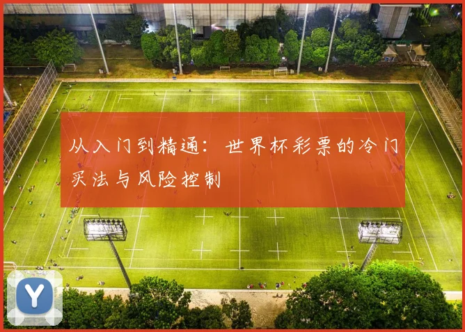 从入门到精通：世界杯彩票的冷门买法与风险控制