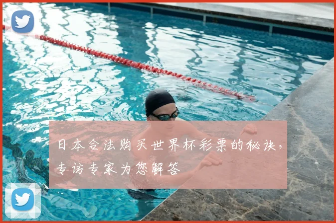 日本合法购买世界杯彩票的秘诀,专访专家为您解答